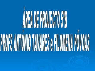 ÀREA DE PROJECTO 5ºB  PROFS ANTÓNIO TAVARES e FILOMENA PÓVOAS 