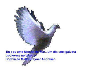                        « Eu sou uma Menina do Mar...Um dia uma gaivota trouxe-me no bico...»  Sophia de Mello Breyner Andresen 