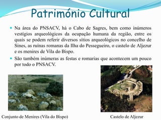 Património Cultural
 Na área do PNSACV, há o Cabo de Sagres, bem como inúmeros
vestígios arqueológicos da ocupação humana da região, entre os
quais se podem referir diversos sítios arqueológicos no concelho de
Sines, as ruínas romanas da Ilha do Pessegueiro, o castelo de Aljezur
e os menires de Vila do Bispo.
 São também inúmeras as festas e romarias que acontecem um pouco
por todo o PNSACV.
Conjunto de Menires (Vila do Bispo) Castelo de Aljezur
 