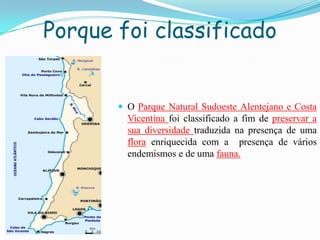 Porque foi classificado
 O Parque Natural Sudoeste Alentejano e Costa
Vicentina foi classificado a fim de preservar a
sua diversidade traduzida na presença de uma
flora enriquecida com a presença de vários
endemismos e de uma fauna.
 