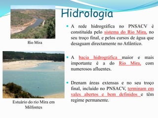 Hidrologia
 A rede hidrográfica no PNSACV é
constituída pelo sistema do Rio Mira, no
seu troço final, e pelos cursos de água que
desaguam directamente no Atlântico.
 A bacia hidrográfica maior e mais
importante é a do Rio Mira, com
numerosos afluentes.
 Drenam áreas extensas e no seu troço
final, incluído no PNSACV, terminam em
vales abertos e bem definidos e têm
regime permanente.Estuário do rio Mira em
Milfontes
Rio Mira
 
