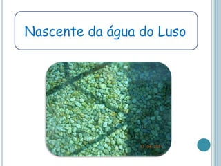 Nascente da água do Luso