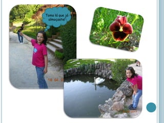 Toma lá que já almoçaste!