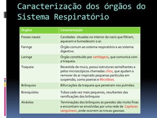 Caracterização dos órgãos do Sistema Respiratório