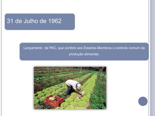 31 de Julho de 1962



     Lançamento da PAC, que confere aos Estados-Membros o controlo comum da
                               produção alimentar.
 