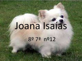 Joana Isaías
8º 7ª nº12
 