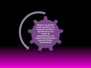 Reduzir as perdas
 pode significar um
 impacto imediato e
  significativo nos
      meios de
  subsistência e na
segurança alimentar,
   para um futuro
    sustentável!
 