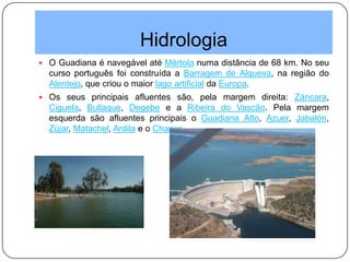 Hidrologia
 O Guadiana é navegável até Mértola numa distância de 68 km. No seu
curso português foi construída a Barragem de Alqueva, na região do
Alentejo, que criou o maior lago artificial da Europa.
 Os seus principais afluentes são, pela margem direita: Záncara,
Ciguela, Bullaque, Degebe e a Ribeira do Vascão. Pela margem
esquerda são afluentes principais o Guadiana Alto, Azuer, Jabalón,
Zújar, Matachel, Ardila e o Chança.
 