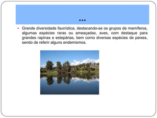 ...
 Grande diversidade faunística, destacando-se os grupos de mamíferos,
algumas espécies raras ou ameaçadas, aves, com destaque para
grandes rapinas e estepárias, bem como diversas espécies de peixes,
sendo de referir alguns endemismos.
 