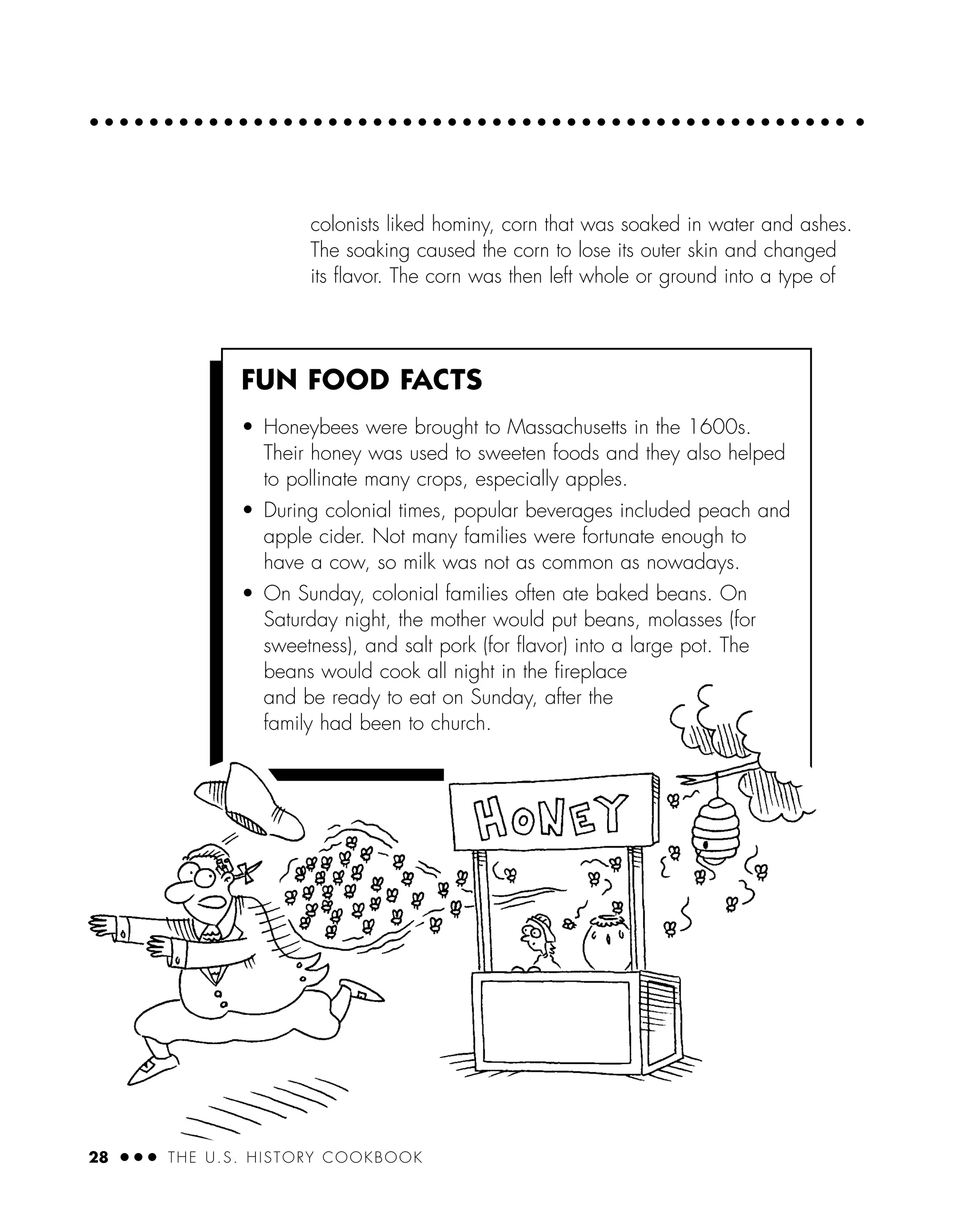 28 ● ● ● THE U.S. HISTORY COOKBOOK
colonists liked hominy, corn that was soaked in water and ashes.
The soaking caused the corn to lose its outer skin and changed
its ﬂavor. The corn was then left whole or ground into a type of
FUN FOOD FACTS
• Honeybees were brought to Massachusetts in the 1600s.
Their honey was used to sweeten foods and they also helped
to pollinate many crops, especially apples.
• During colonial times, popular beverages included peach and
apple cider. Not many families were fortunate enough to
have a cow, so milk was not as common as nowadays.
• On Sunday, colonial families often ate baked beans. On
Saturday night, the mother would put beans, molasses (for
sweetness), and salt pork (for ﬂavor) into a large pot. The
beans would cook all night in the ﬁreplace
and be ready to eat on Sunday, after the
family had been to church.
 