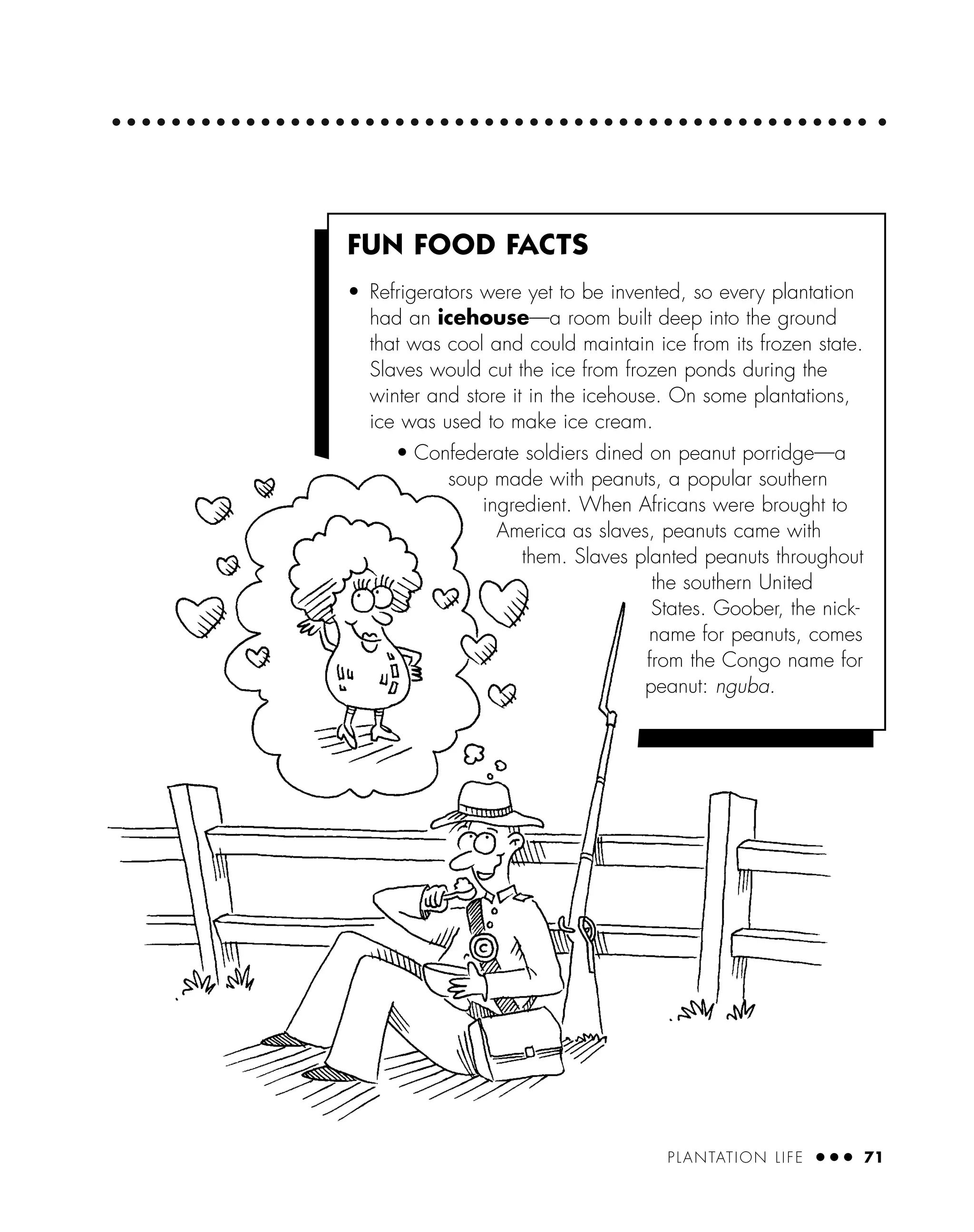 PLANTATION LIFE ● ● ● 71
FUN FOOD FACTS
• Refrigerators were yet to be invented, so every plantation
had an icehouse—a room built deep into the ground
that was cool and could maintain ice from its frozen state.
Slaves would cut the ice from frozen ponds during the
winter and store it in the icehouse. On some plantations,
ice was used to make ice cream.
• Confederate soldiers dined on peanut porridge—a
soup made with peanuts, a popular southern
ingredient. When Africans were brought to
America as slaves, peanuts came with
them. Slaves planted peanuts throughout
the southern United
States. Goober, the nick-
name for peanuts, comes
from the Congo name for
peanut: nguba.
 
