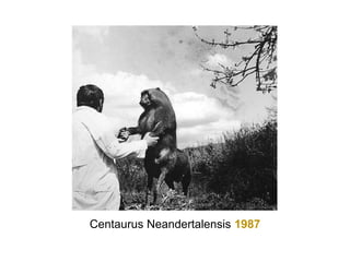 Centaurus Neandertalensis 1987
 