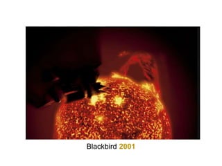 Blackbird 2001
 