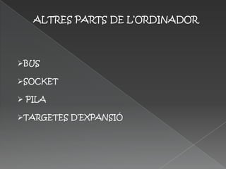 ALTRES PARTS DE L’ORDINADOR



BUS

SOCKET

 PILA

TARGETES D’EXPANSIÓ
 