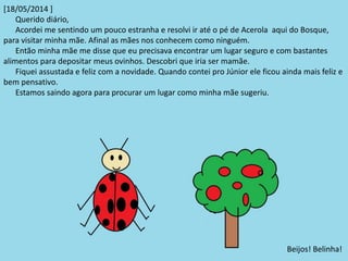 [18/05/2014 ] 
Querido diário, 
Acordei me sentindo um pouco estranha e resolvi ir até o pé de Acerola aqui do Bosque, 
para visitar minha mãe. Afinal as mães nos conhecem como ninguém. 
Então minha mãe me disse que eu precisava encontrar um lugar seguro e com bastantes 
alimentos para depositar meus ovinhos. Descobri que iria ser mamãe. 
Fiquei assustada e feliz com a novidade. Quando contei pro Júnior ele ficou ainda mais feliz e 
bem pensativo. 
Estamos saindo agora para procurar um lugar como minha mãe sugeriu. 
Beijos! Belinha! 
 