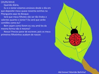 [25/05/2014] 
Querido diário, 
Eu e o Júnior estamos ansiosos desde o dia em 
que depositei meus quase noventa ovinhos na 
Pitangueira aqui do Bosque. 
Será que meus filhotes vão ser tão lindos e 
valentes quanto o Júnior? Ou será que serão 
comilões como eu? 
Bem sejam como forem eu vou amá-los da 
mesma forma não é mesmo? 
Nossa! Preciso parar de escrever, pois os meus 
primeiros filhotinhos acabam de nascer. 
Até breve! Mamãe Belinha! 
 