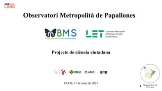 Observatori Metropolità de Papallones
CCCB, 17 de març de 2023
Projecte de ciència ciutadana
blanqueta de la col
Pieris rapae
1
 