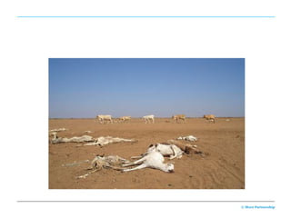 Disaster
strikes




           © More Partnership

                           19
 