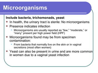 Microorganisms Include bacteria, trichomonads, yeast In health, the urinary tract is sterile: No microorganisms  Presence indicates infection  Microorganisms are usually reported as “few,” “moderate,” or “many” present per high power field (HPF)  Microorganisms found may be from specimen contamination: From bacteria that normally live on the skin or in vaginal secretions (most often women) Yeast can also be present in urine and are more common  in women due to a vaginal yeast infection 