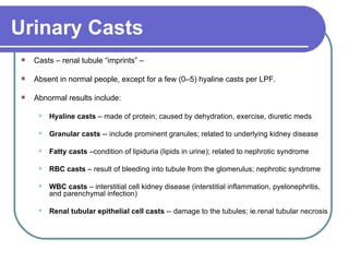 Urinary Casts   Casts – renal tubule “imprints” –  Absent in normal people, except for a few (0–5) hyaline casts per LPF.  Abnormal results include: Hyaline casts  – made of protein; caused by dehydration, exercise, diuretic meds  Granular casts  -- include prominent granules; related to underlying kidney disease Fatty casts  –condition of lipiduria (lipids in urine); related to nephrotic syndrome  RBC casts  – result of bleeding into tubule from the glomerulus; nephrotic syndrome WBC casts  – interstitial cell kidney disease (interstitial inflammation, pyelonephritis, and parenchymal infection) Renal tubular epithelial cell casts  -- damage to the tubules; ie.renal tubular necrosis 