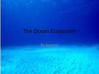 The Ocean Ecosystem
By Joanne
 