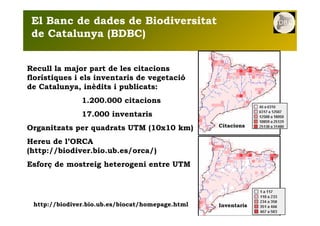El Banc de dades de Biodiversitat
 de Catalunya (BDBC)


Recull la major part de les citacions
florístiques i els inventar...