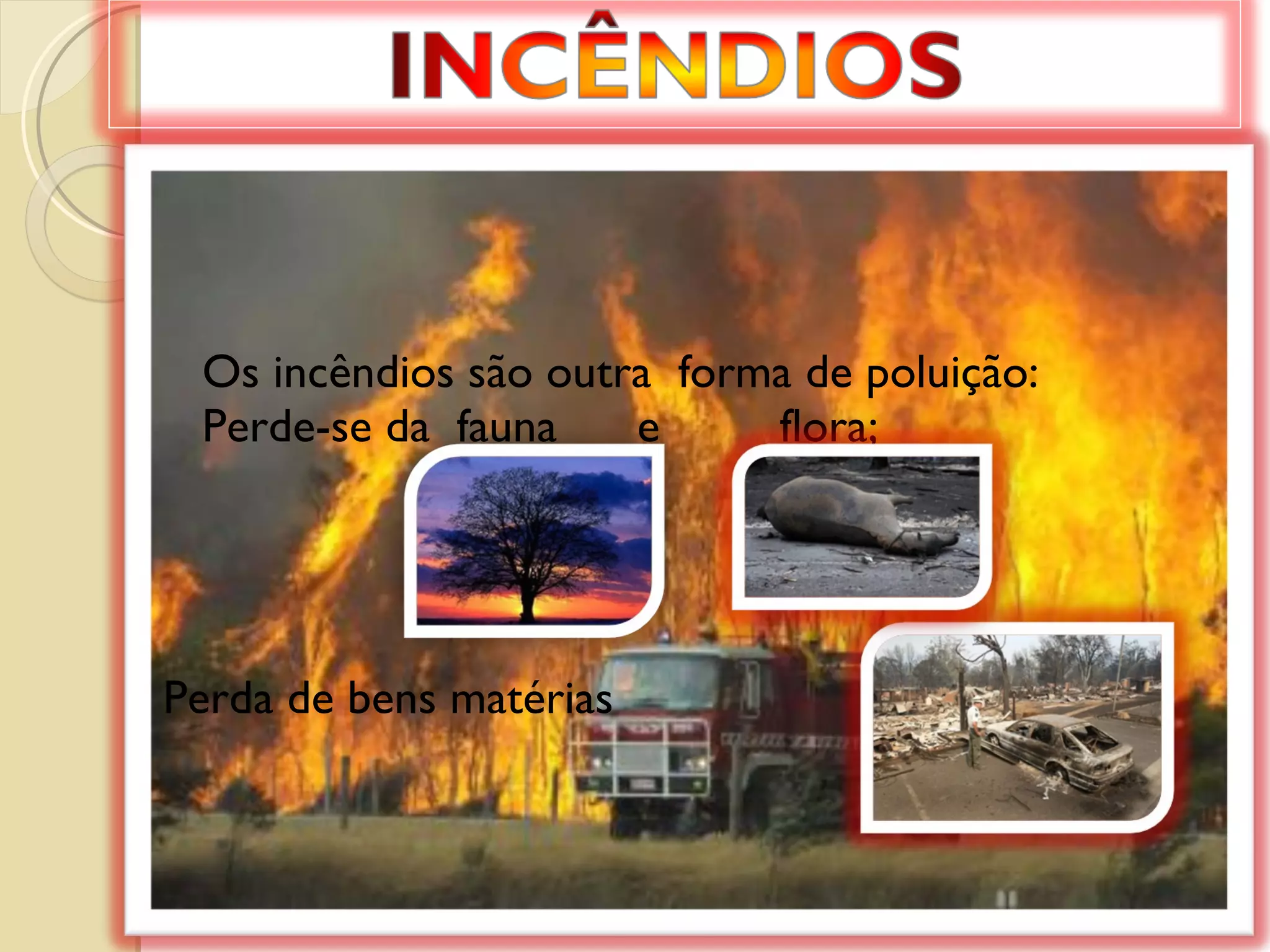 Os incêndios são outra  forma de poluição: Perde-se da  fauna  e  flora; Perda de bens matérias 