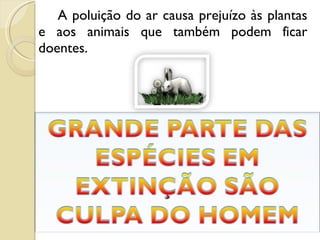 A poluição do ar causa prejuízo às plantas e aos animais que também podem ficar doentes. 