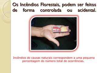 Os Incêndios Florestais, podem ser feitos de forma controlada ou acidental. Incêndios de causas naturais correspondem a uma pequena percentagem do número total de ocorrências.  