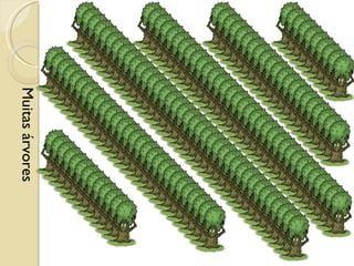 Muitas árvores 