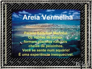 Parque Estadual Marinho. Os recifes de corais,  formam piscinas naturais  cheias de peixinhos. Você se sente num aquário! É uma experiência inesquecível.   Areia Vermelha 