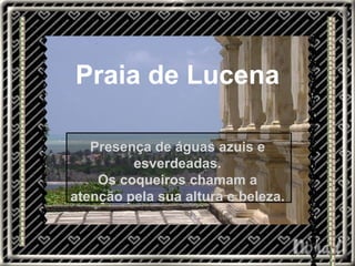 Praia de Lucena Presença de águas azuis e esverdeadas. Os coqueiros chamam a atenção pela sua altura e beleza. 