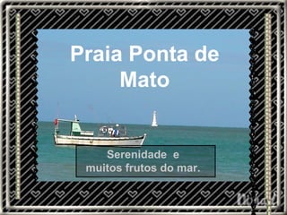 Praia Ponta de Mato Serenidade  e  muitos frutos do mar.  