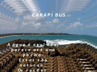 CARAPIBUS A água é azulada, parece até uma piscina. Estas são naturais. Os recifes emoldurando grandes porções de águas claras,  na maré baixa.  Lindo! 