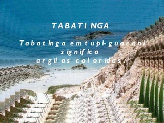 Tabatinga em tupi-guarani significa  argilas coloridas.  TABATINGA 