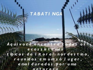 TABATINGA Aqui você encontra todos os ecossistemas  típicos do litoral nordestino, reunidos em um só lugar, emoldurados por uma natureza  bela e incomparável. 