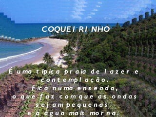 COQUEIRINHO É uma típica praia de lazer e contemplação. Fica numa enseada, o que faz com que as ondas sejam pequenas  e a água mais morna.  Os coqueiros, além de embelezarem a paisagem,  fazem sombra para as mesinhas das barracas. 