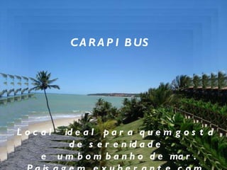CARAPIBUS Local  ideal para quem gosta de serenidade e  um bom banho de mar. Paisagem  exuberante com  rochas e falésias.  