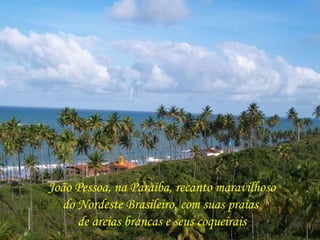 João Pessoa, na Paraíba, recanto maravilhoso do Nordeste Brasileiro, com suas praias  de areias brancas e seus coqueirais 