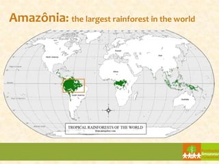 Amazônia: the largest rainforest in the world
 