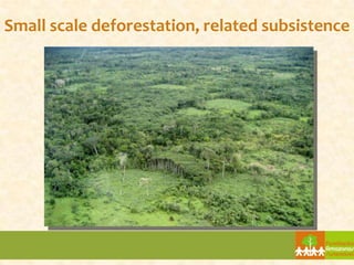 Small scale deforestation, related subsistence
 