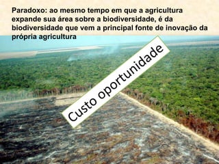 Paradoxo: ao mesmo tempo em que a agricultura
expande sua área sobre a biodiversidade, é da
biodiversidade que vem a principal fonte de inovação da
própria agricultura
 