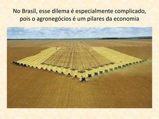 No Brasil, esse dilema é especialmente complicado,
  pois o agronegócios é um pilares da economia
 