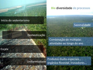 Bio diversidade de processos


Início do sedentarismo
                                                       Sazonalidade


                    Domesticação
                                    Combinação de múltiplas
                                    atividades ao longo do ano
Escala


                                  Produtos muito especiais…
                    Uniformiudade orgânico florestal, inovadores…
 