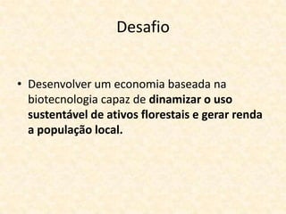 Desafio


• Desenvolver um economia baseada na
  biotecnologia capaz de dinamizar o uso
  sustentável de ativos florestais e gerar renda
  a população local.
 