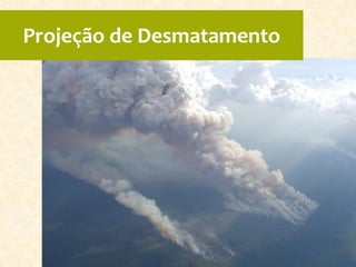Projeção de Desmatamento
 