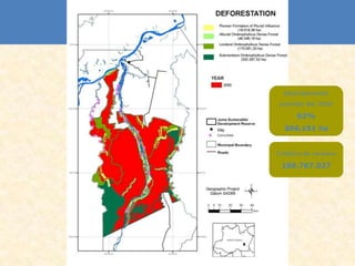 Desmatamento
 previsto até 2050

      62%
  366,151 ha


Créditos de carbono

 189.767.027
 