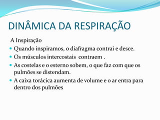 DINÂMICA DA RESPIRAÇÃO A InspiraçãoQuando inspiramos, o diafragma contrai e desce.Os músculos intercostais  contraem .As costelas e o esterno sobem, o que faz com que os pulmões se distendam.A caixa torácica aumenta de volume e o ar entra para dentro dos pulmões