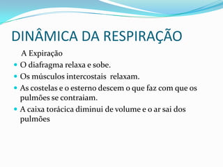 DINÂMICA DA RESPIRAÇÃO    A ExpiraçãoO diafragma relaxa e sobe.Os músculos intercostais  relaxam.As costelas e o esterno descem o que faz com que os pulmões se contraiam.A caixa torácica diminui de volume e o ar sai dos pulmões