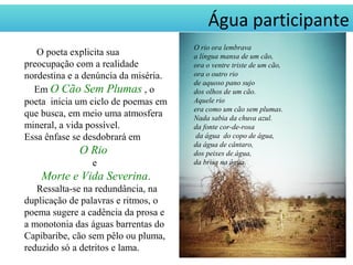 Água participante
O poeta explicita sua
preocupação com a realidade
nordestina e a denúncia da miséria.
Em O Cão Sem Plumas , o
poeta inicia um ciclo de poemas em
que busca, em meio uma atmosfera
mineral, a vida possível.
Essa ênfase se desdobrará em
O Rio
e
Morte e Vida Severina.
Ressalta-se na redundância, na
duplicação de palavras e ritmos, o
poema sugere a cadência da prosa e
a monotonia das águas barrentas do
Capibaribe, cão sem pêlo ou pluma,
reduzido só a detritos e lama.
O rio ora lembrava
a língua mansa de um cão,
ora o ventre triste de um cão,
ora o outro rio
de aquoso pano sujo
dos olhos de um cão.
Aquele rio
era como um cão sem plumas.
Nada sabia da chuva azul.
da fonte cor-de-rosa
da água do copo de água,
da água de cântaro,
dos peixes de água,
da brisa na água.
 